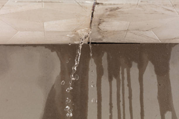 Professional Commercial Water Damage Restoration technician working in Somers, IA